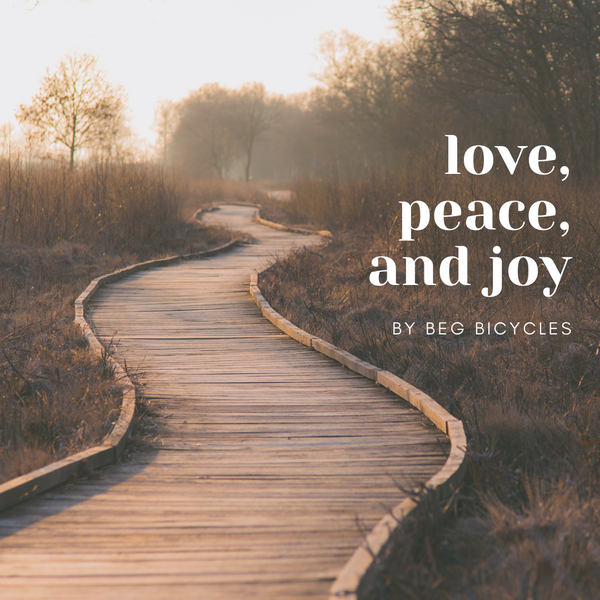 Christmas 2025 Shipping Update