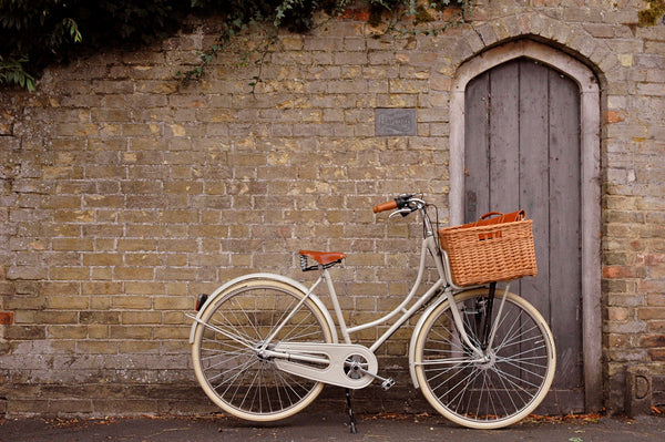 RIDING HIGH INTO AUTUMN….
