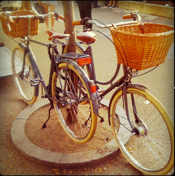 SPOTTED…!