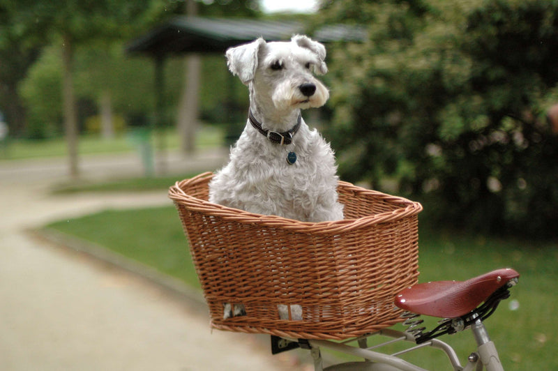 BEG BASIL DOG BASKET AND FRAME